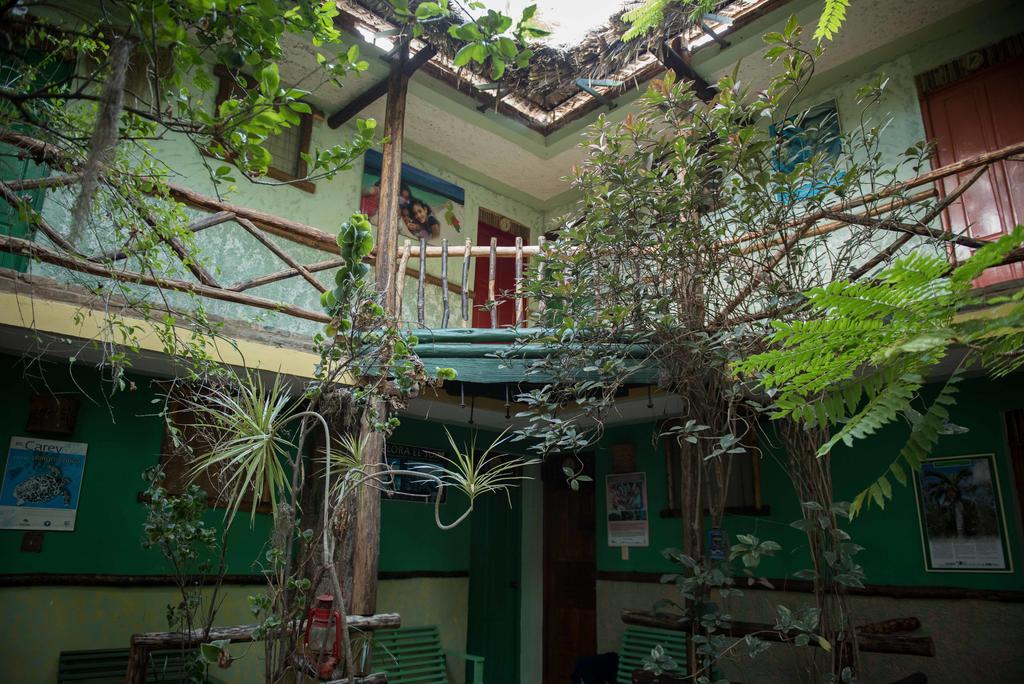 Hostal Dona Chava Pedernales Eksteriør billede